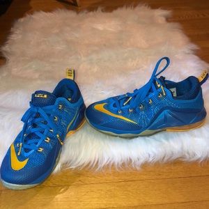 Nike Lebron XII Low Blue - Sz 7 Men’s, Sz 9 Women’s